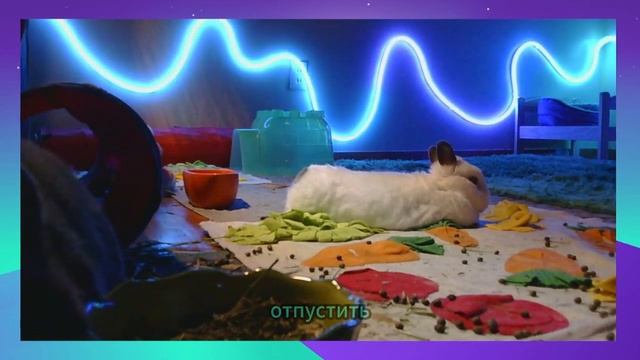 Что делать.! У жены есть молодой 'парень', АЖ на 20 ЛЕТ мо? смотреть онлайн