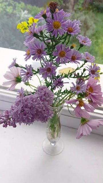 #крым #дача #цвететсирень смотреть онлайн