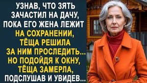 Узнав, что зять зачастил на дачу, пока его жена лежит на сохранении, тёща решила за ним проследить..