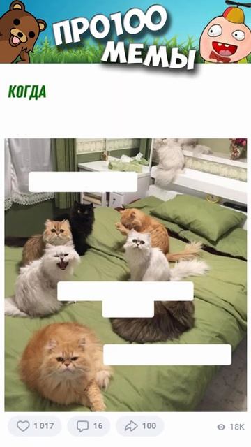 #мемы2022 #смешныекоты #мемы #приколы #юмор #мемыскотами #смешыекошки #мемыдня #мемчики #про100мемы