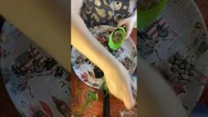 Тля на комнатном гранате!!