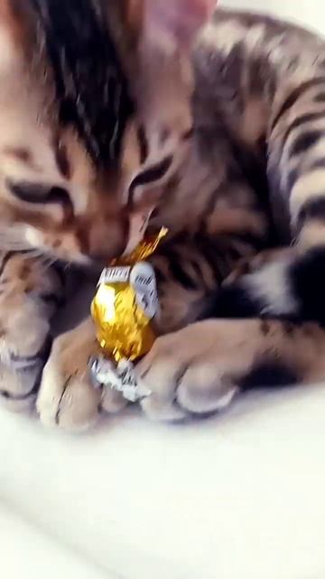 у меня есть вкусная конфетка......... смотреть онлайн