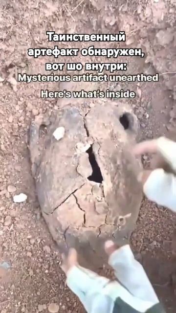 Типичный паук который ищет нору, но там уже есть паук: смотреть онлайн