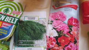 Небольшая закупка продуктов. Магазин Победа.