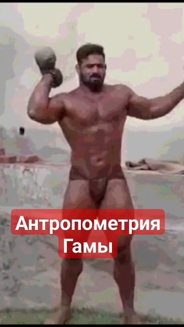 Антропометрические данные борца Гамы смотреть онлайн