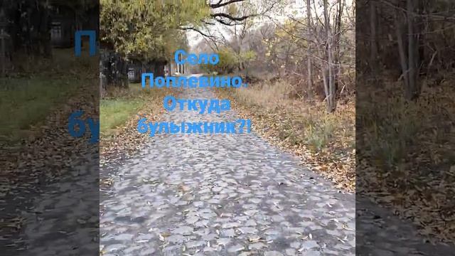 село Поплевино Рязанской области. Опять немцы строили смотреть онлайн