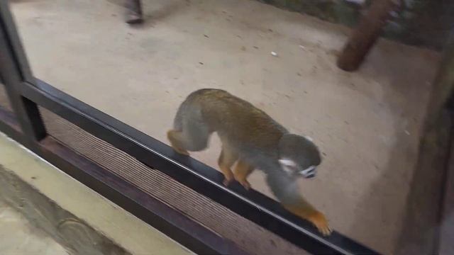 РАЙ В КАЛУЖСКОЙ ОБЛАСТИ смотреть онлайн