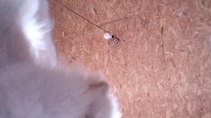 видео просто топ