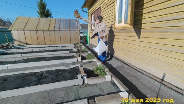7 соток. Устанавливаю отпугиватели от ворон, сорок, мышей и кротов. Хроника 10 мая 2025 год