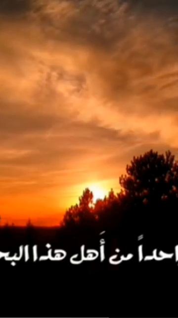 Буду мечтать ,может примут какой я есть, перестал зада? смотреть онлайн