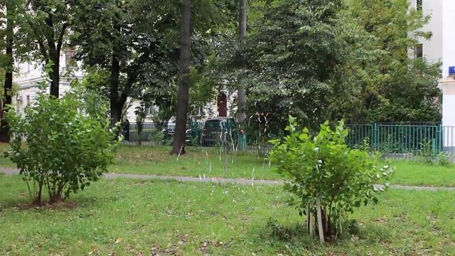 Пневмохлопушка 20 см. с серпантином 8820