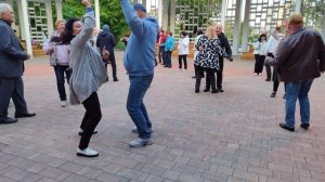 Роза🌹 чайная.... 10.05.25.