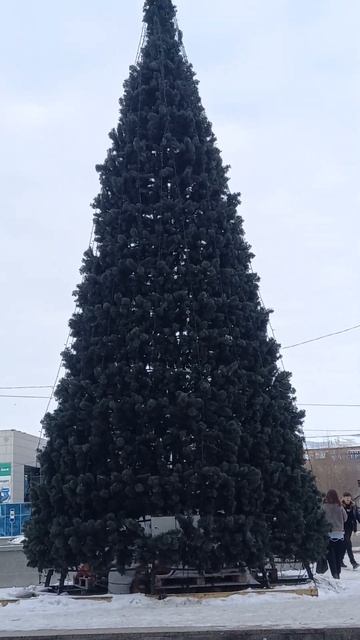 Ёлка около ЦУМ-а уже без украшений, гирлянды пока есть смотреть онлайн