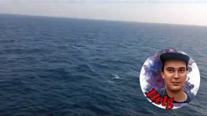 Шалунишка Артур влюбился в мошенницу из Сбербанка Инв