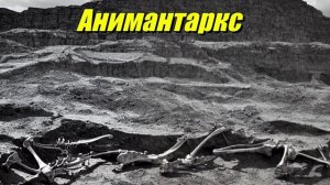 Анимантаркс