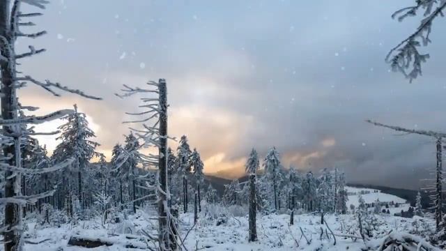 Научи меня, Боже, любить! Христианское стихотворение. ? смотреть онлайн