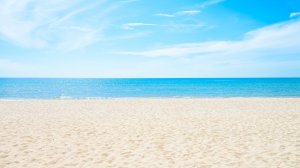 Клео и Кукин RYTP Клео и Komputersem 2024 г.