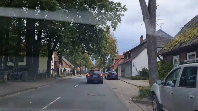 ВСЕ в. лес, срочно!!Сколько грибов/ спасибо папе/ снабжа смотреть онлайн