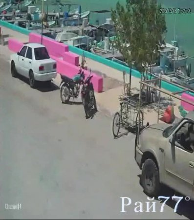 Владелец лодки был спасён рыбаками из пасти крокодила
