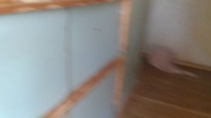 появление радуги дома