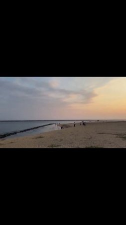 пальма в Коломбо - гуляю по новой достопримечательности ❣️