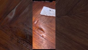 Мастер-класс восстановление вздутой фанеры или Утюг против Фанеры: Неожиданный Способ Ремонта