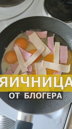 Яичница для подписчиков от автора блога "Знания без границ"