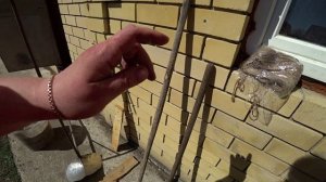 Пять правил посадки картофеля