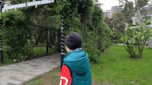 Сочи. отель Жемчужина апрель 2025