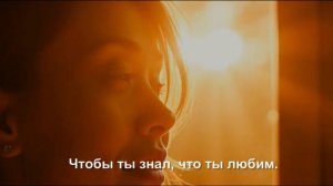 Хочу укрыть тебя крылом.  Стихи о счастливой любви