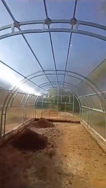 Теплица Агросфера Простор #shorts #теплица #дача смотреть онлайн