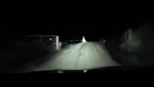 Приколы лучшее ►Полная ржака ►Угарные видео смотреть онлайн