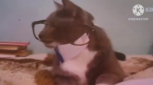 Kotiynet сегодня в 15:30 на телеканале"Карусель"