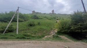 Посадка косточек сладкого миндаля(результат посадок,обзор)пас.Балаклава👍💪🌳