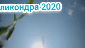 Аликондра: какой был раньше ( 2020 - 2025 )