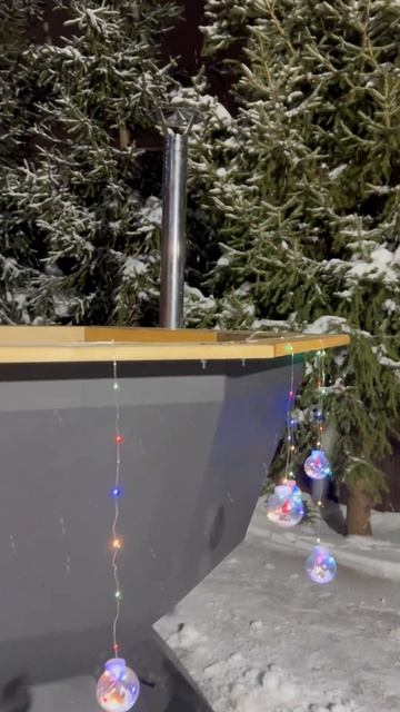 24 декабря 2024 г. смотреть онлайн