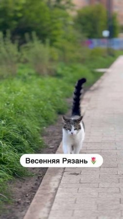 Родной город весной ❤️