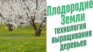 Как ускорить рост растений?