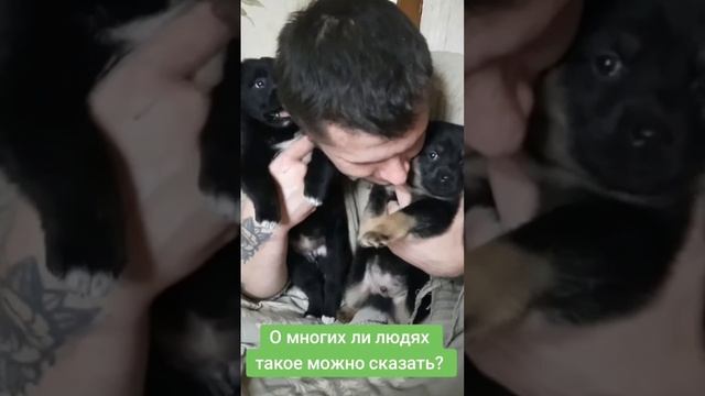 ОНИ - НЕ ИГРУШКИ!!! У НИХ ЕСТЬ СЕРДЦЕ И ДУША❤️ смотреть онлайн