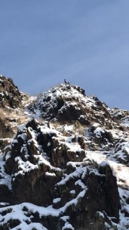 34. Разведчики #nature #mountains #hunting #travel #козерог #горы #монгун-тайга