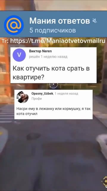 Ответы майл часть 35 #майлру #мем #мемы #shorts #приколы  ❗в? смотреть онлайн