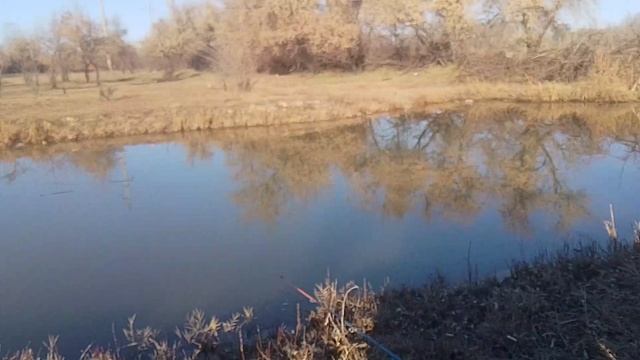 Я ловлю рыбу в Бишкеке в Кыргызстане.Удачная рыбалка