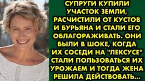 Супруги купили участок земли, расчистили от кустов и бурьяна и стали его облагораживать. Они были...