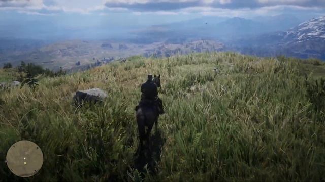 Прохождение Red Dead Redemption 2  Часть 19 : Падающий дождь