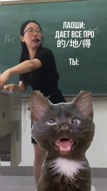 ДэДэДэ или грамматика продвинутого уровня китайскийязык китай китайскийкотикимем  юмормемы