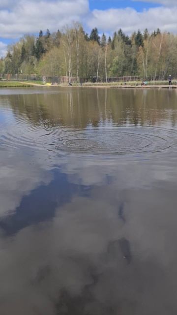 Форель смотреть онлайн