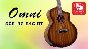 Электроакустика Omni SCE-12 B1G RT