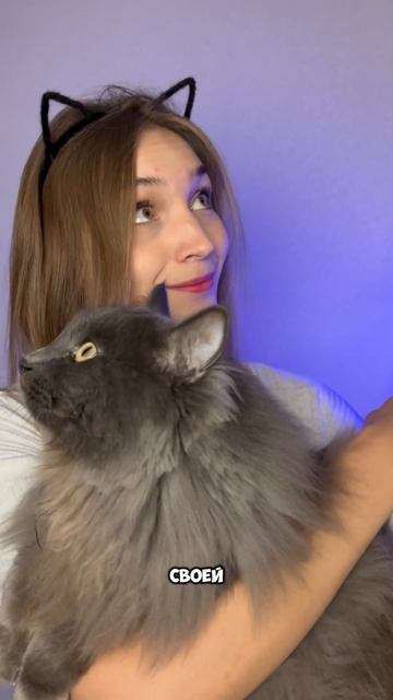 ПОЧЕМУ ТВОЙ КОТ ЕСТ ОДНО И ТО ЖЕ? #top #мейнкун #cats #питани смотреть онлайн