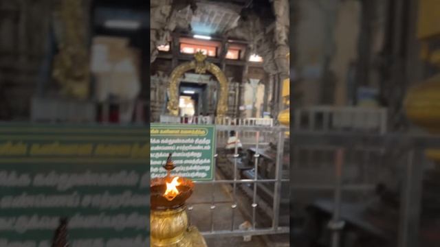 ПАЛОМНИЧЕСТВО ПО ХРАМАМ ЮЖНОЙ ИНДИИ🛕🕉️ смотреть онлайн