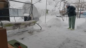 29. Морозная снежная Кубань. Делаем впервые из своего винограда чачу. Гуляем по хутору.